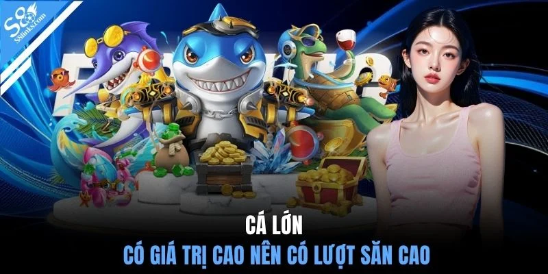 Cá lớn có giá trị cao nên có lượt săn cao