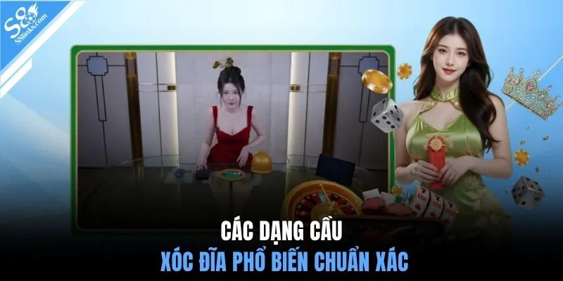 Các dạng cầu xóc đĩa phổ biến chuẩn xác