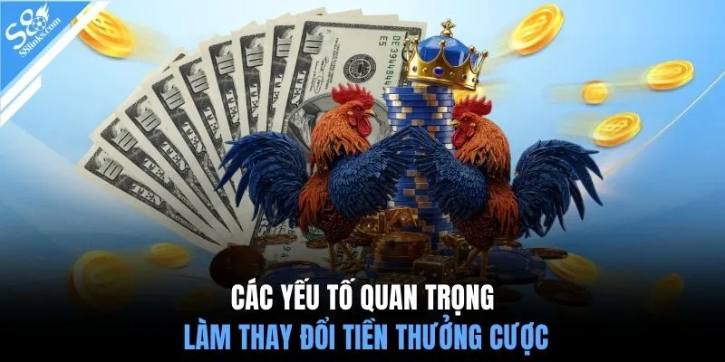 Các yếu tố quan trọng làm thay đổi tiền thưởng cược