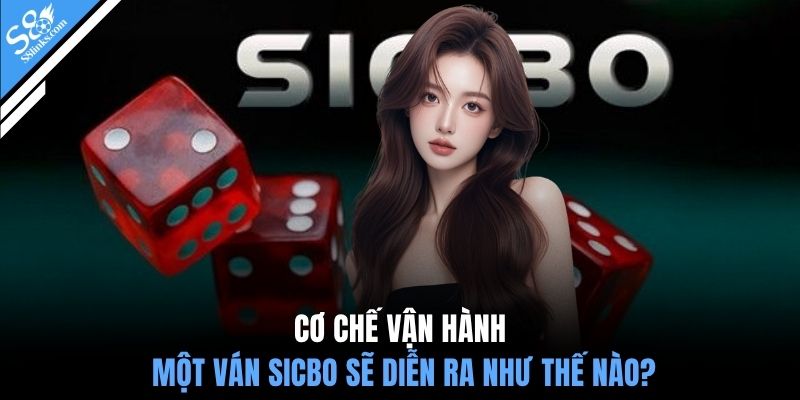 Cơ chế vận hành một ván sicbo sẽ diễn ra như thế nào?