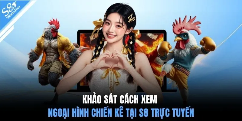 Khảo sát cách xem ngoại hình chiến kê tại S8 trực tuyến