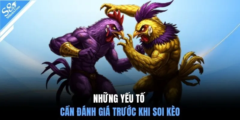 Những yếu tố cần đánh giá trước khi soi kèo
