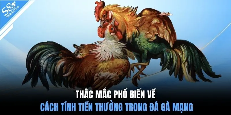 Thắc mắc phổ biến về cách tính tiền thưởng trong đá gà mạng