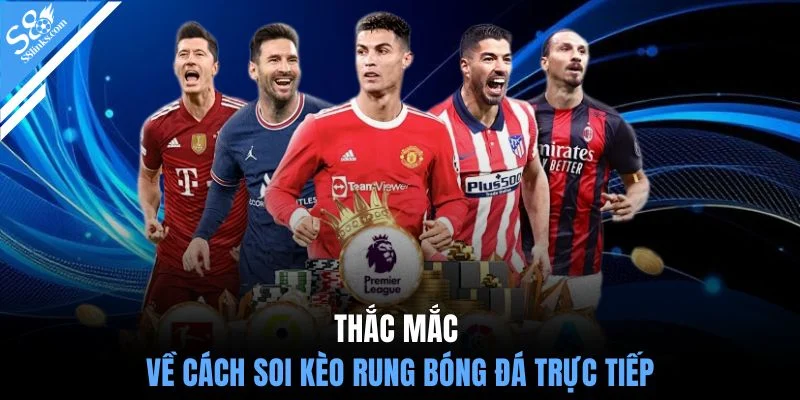 Thắc mắc về cách soi kèo rung bóng đá trực tiếp