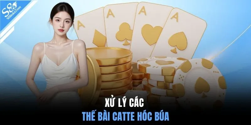 Xử lý các thế bài Catte hóc búa